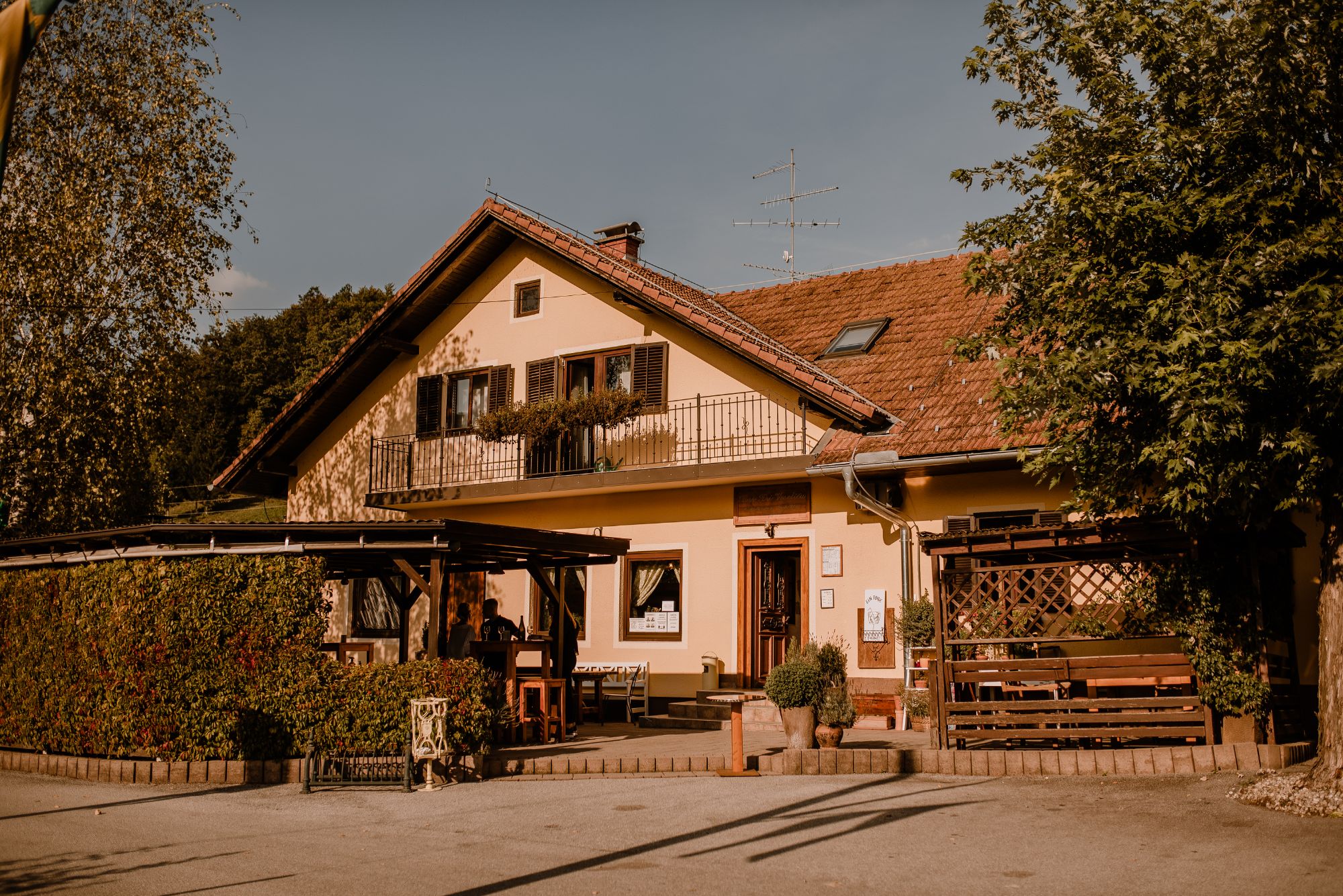 Slide Image